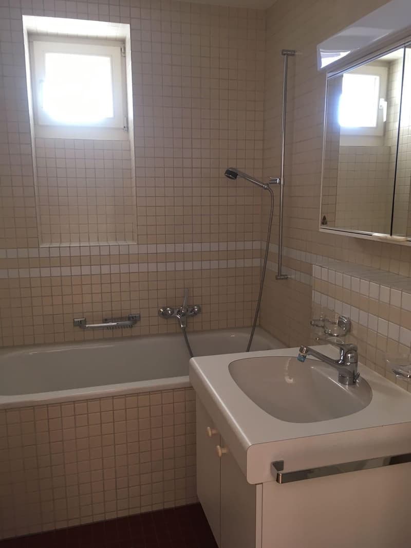 2.5-Zimmer-Wohnung mit grosser Terrasse in Winterthur (6)