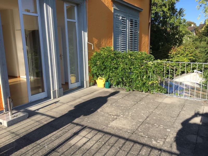 2.5-Zimmer-Wohnung mit grosser Terrasse in Winterthur (5)