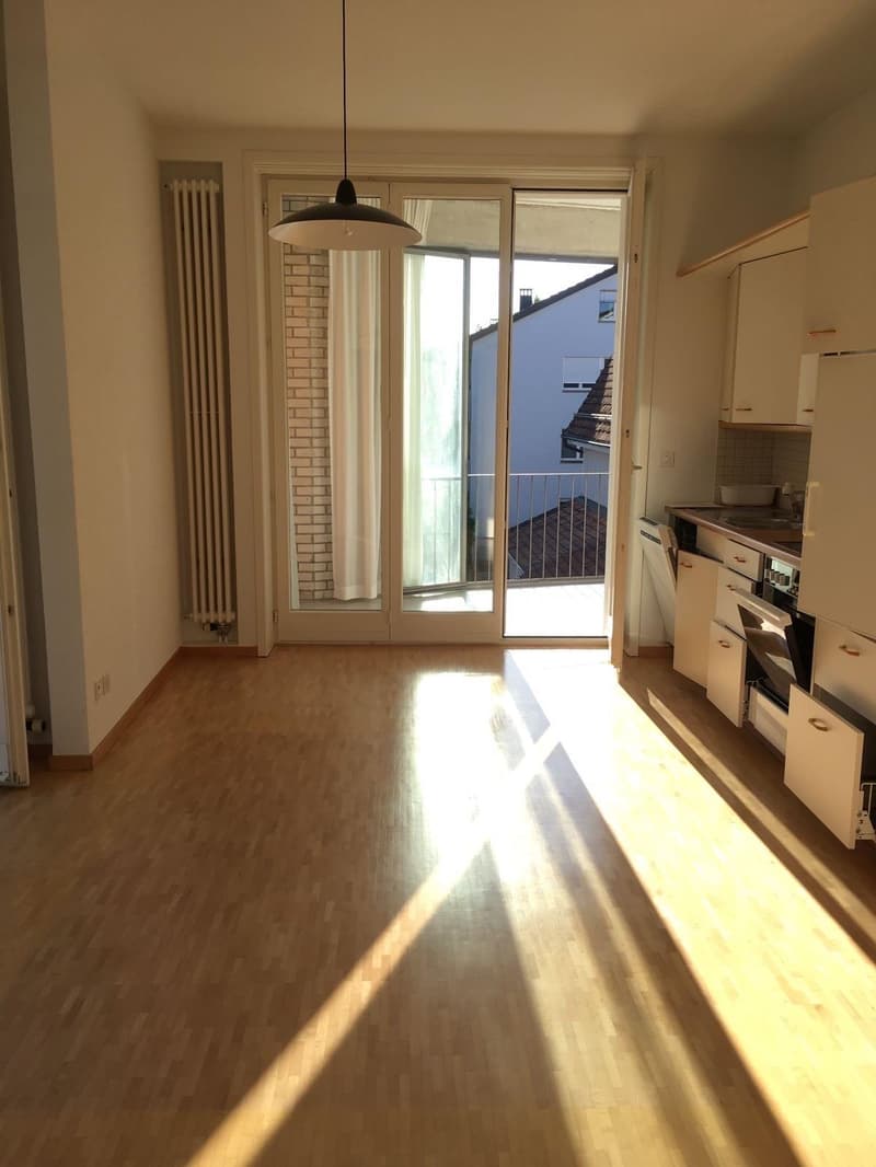 2.5-Zimmer-Wohnung mit grosser Terrasse in Winterthur (3)