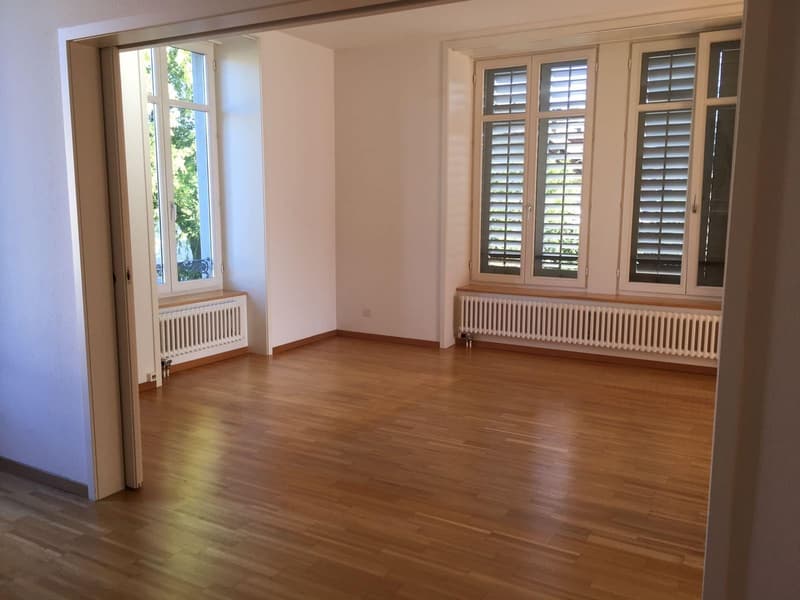 2.5-Zimmer-Wohnung mit grosser Terrasse in Winterthur (2)