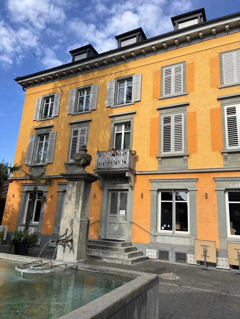 2.5-Zimmer-Wohnung mit grosser Terrasse in Winterthur (1)