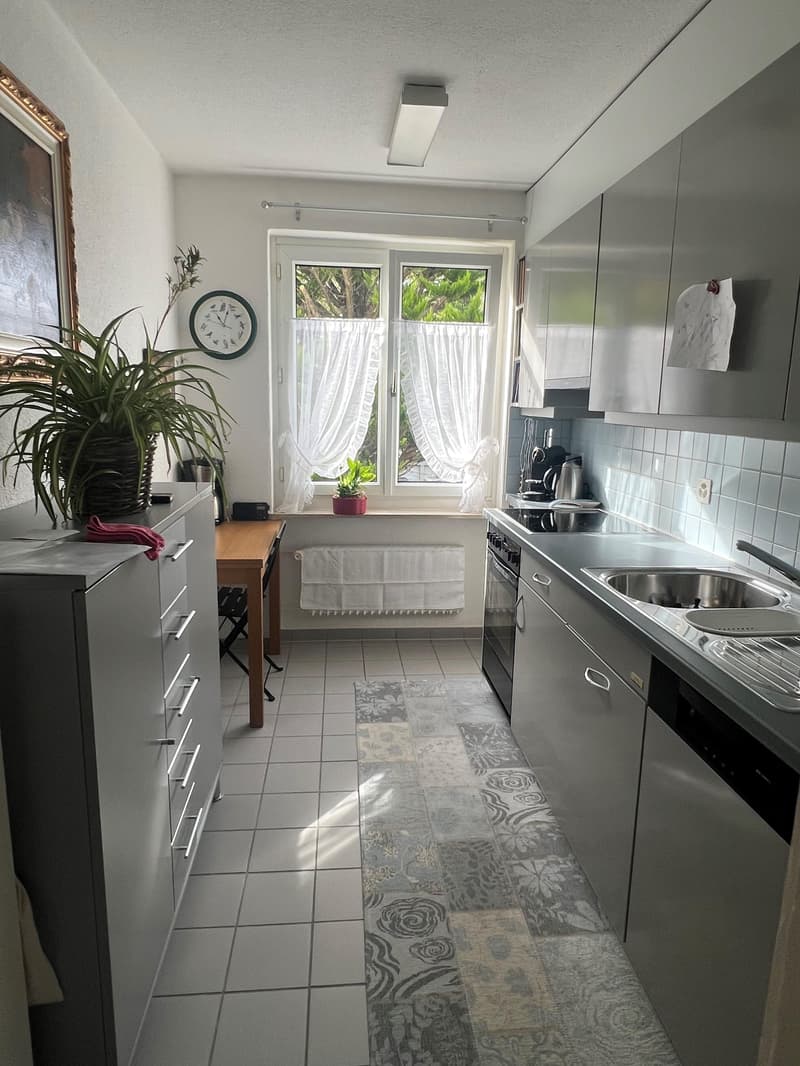 3.0 Zimmerwohnung in Wallisellen (4)