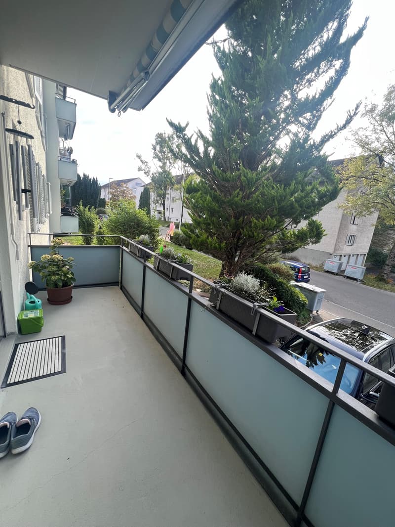 3.0 Zimmerwohnung in Wallisellen (5)