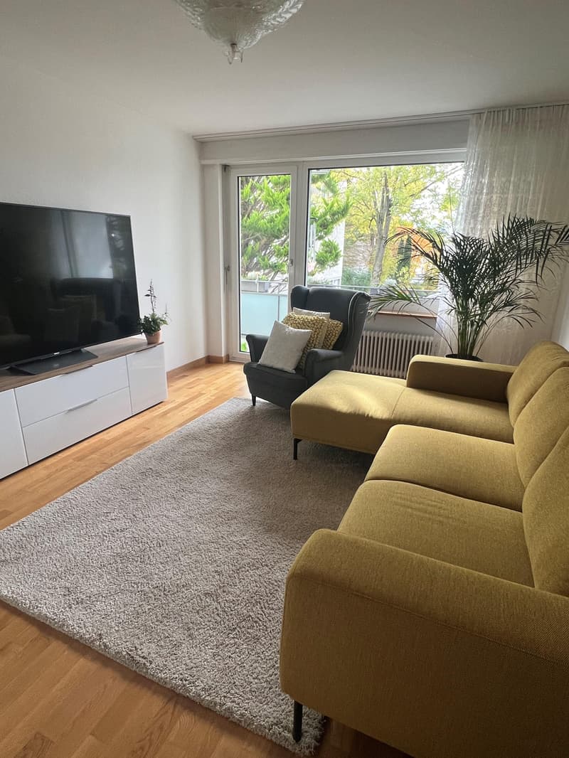 3.0 Zimmerwohnung in Wallisellen (2)