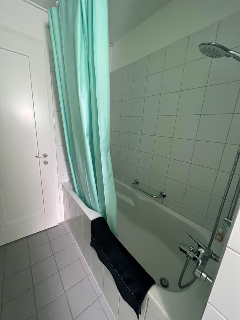 3.0 Zimmerwohnung in Wallisellen (6)