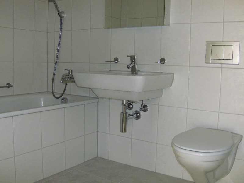 Helle 3.5 Zimmer Wohnung mit grossem, sonnigem Balkon (10)