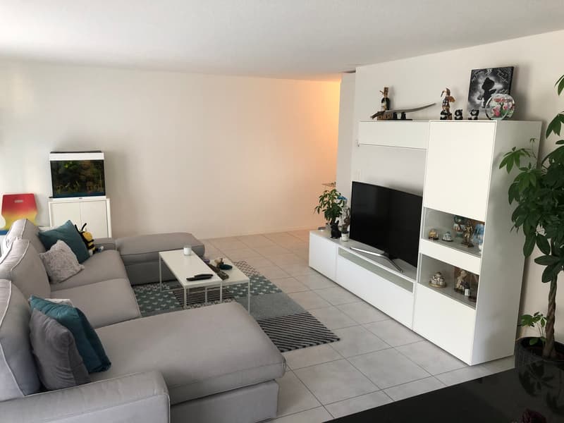 Lichtdurchflutete 4.5 Zimmer Wohnung (6)