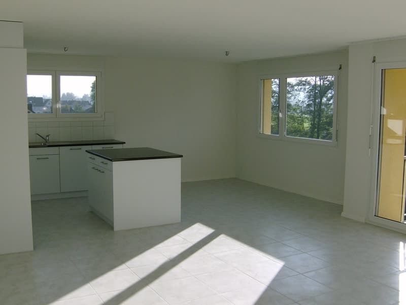 Lichtdurchflutete 4.5 Zimmer Wohnung (3)