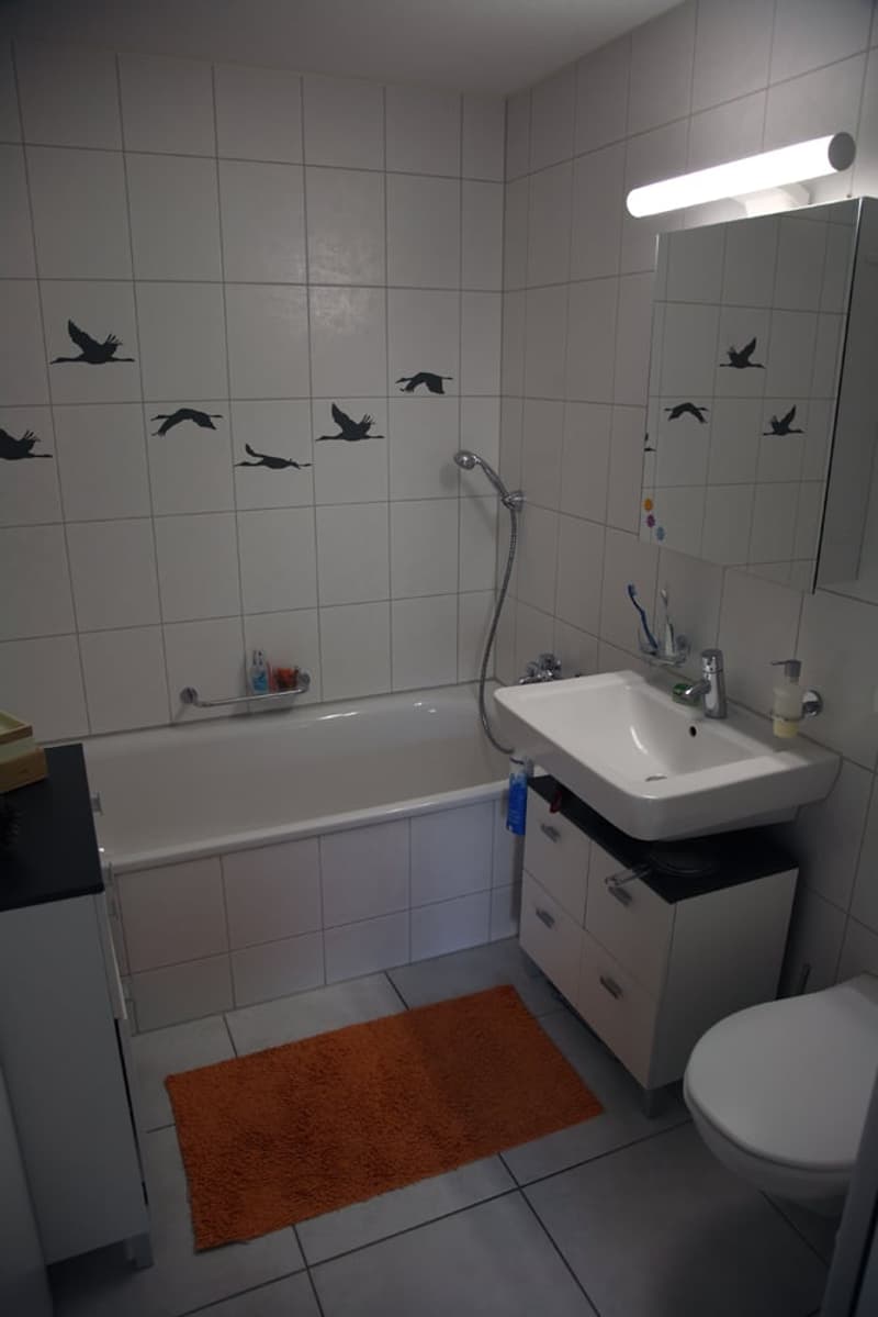 Lichtdurchflutete 4.5 Zimmer Wohnung (9)