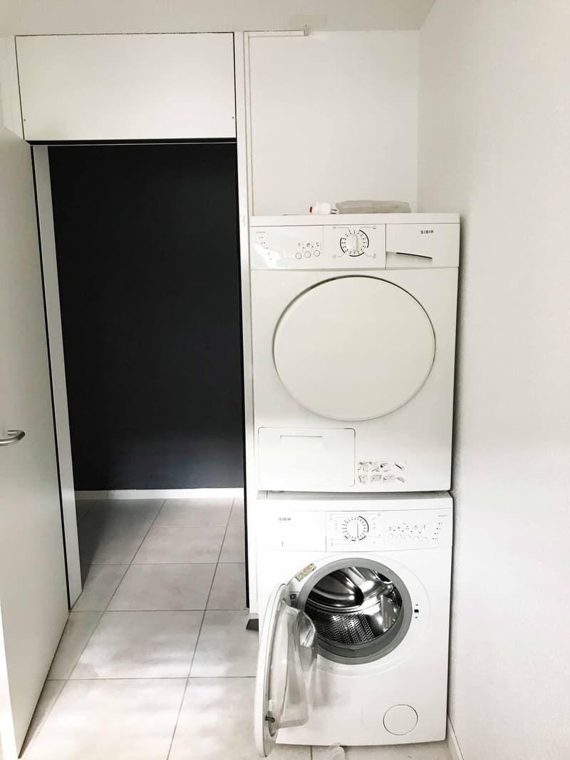 Lichtdurchflutete 4.5 Zimmer Wohnung (10)
