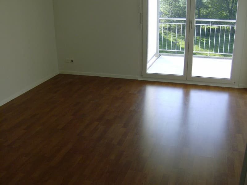 Lichtdurchflutete 4.5 Zimmer Wohnung (12)