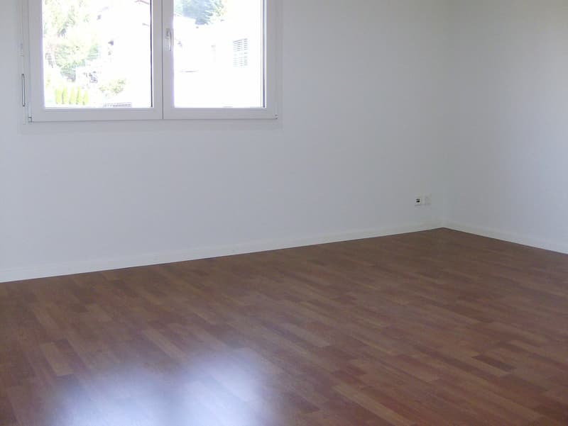 Lichtdurchflutete 4.5 Zimmer Wohnung (11)