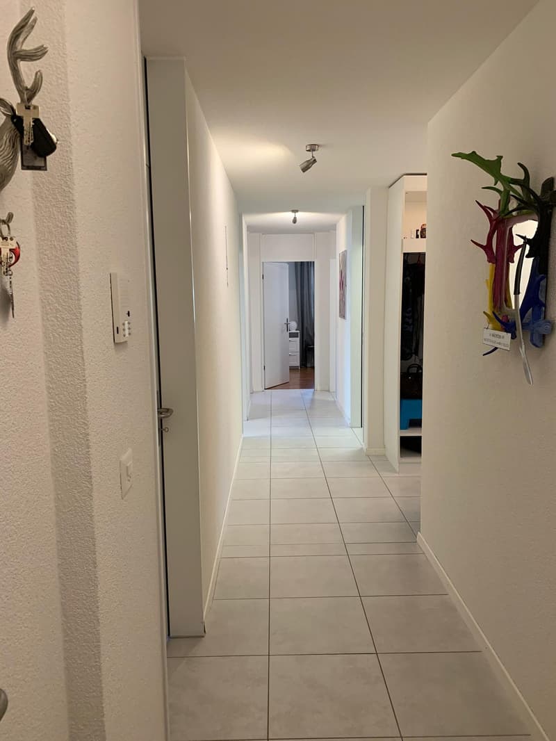 Lichtdurchflutete 4.5 Zimmer Wohnung (7)