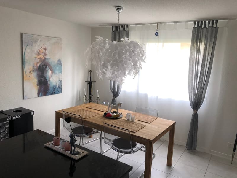 Lichtdurchflutete 4.5 Zimmer Wohnung (5)
