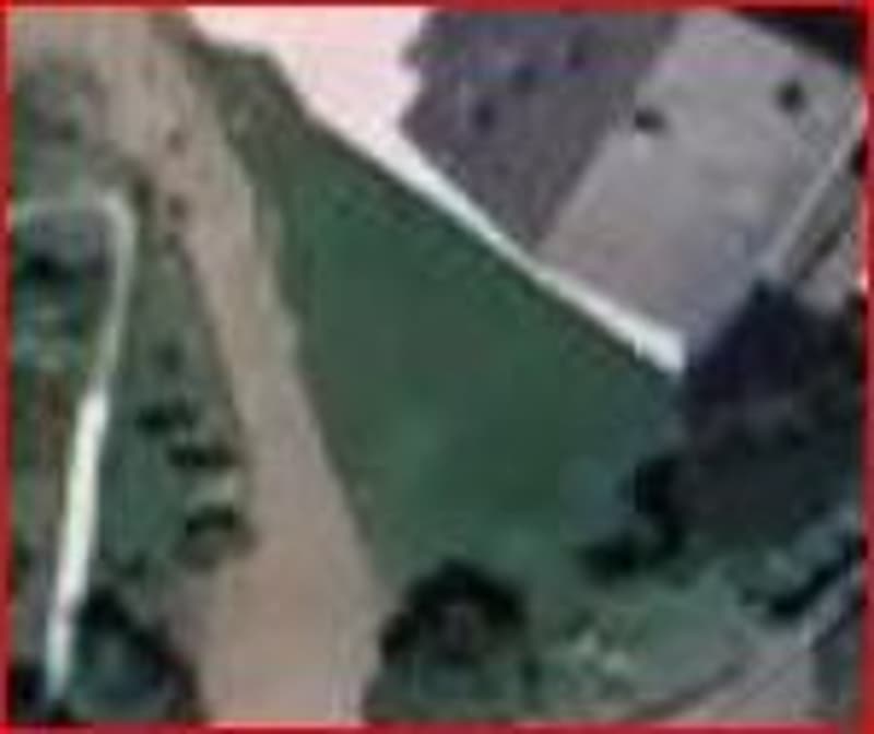 *Terrain*