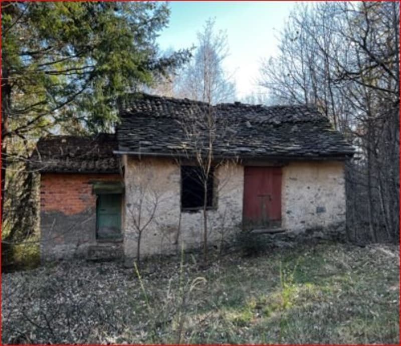 *Prato, bosco, stalla*