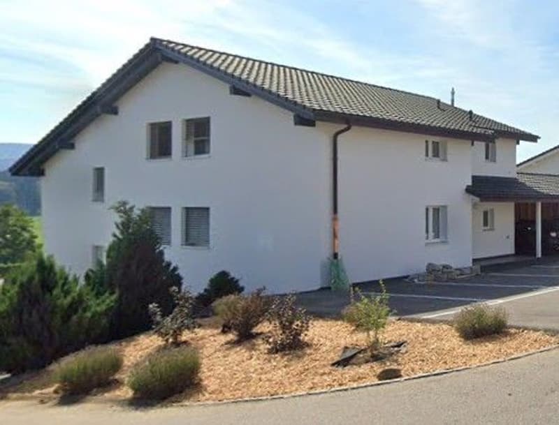 *Appartement de 4,5 pièces* (1)