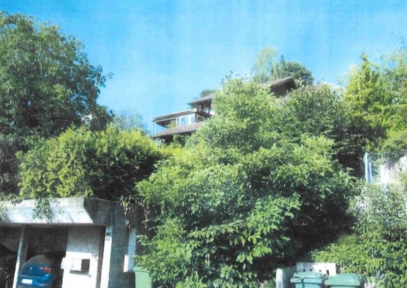 *Einfamilienhaus* (1)
