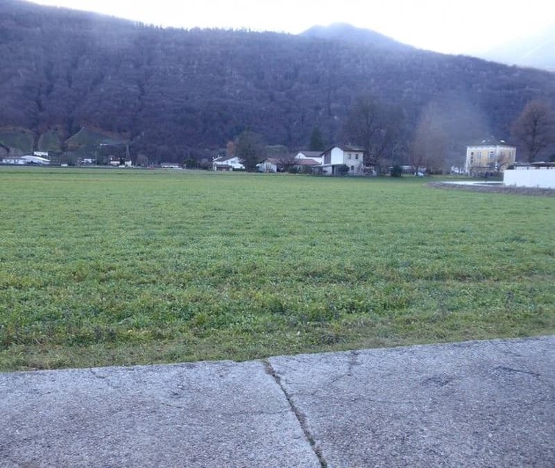 *Bosco, prato/campo* (1)