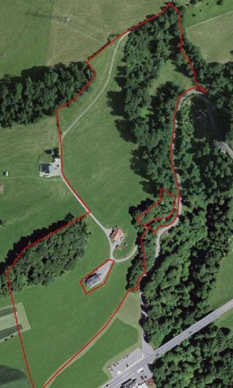 *Scheune, Remise und Hühnerstall mit Wiese, Wald, Gewässer* (2)