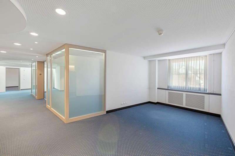 Superbe espace de bureaux rénové au Fronwagplatz (8)