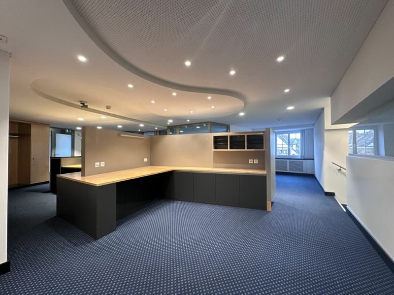 Superbe espace de bureaux rénové au Fronwagplatz (2)