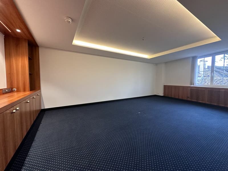Superbe espace de bureaux rénové au Fronwagplatz (15)