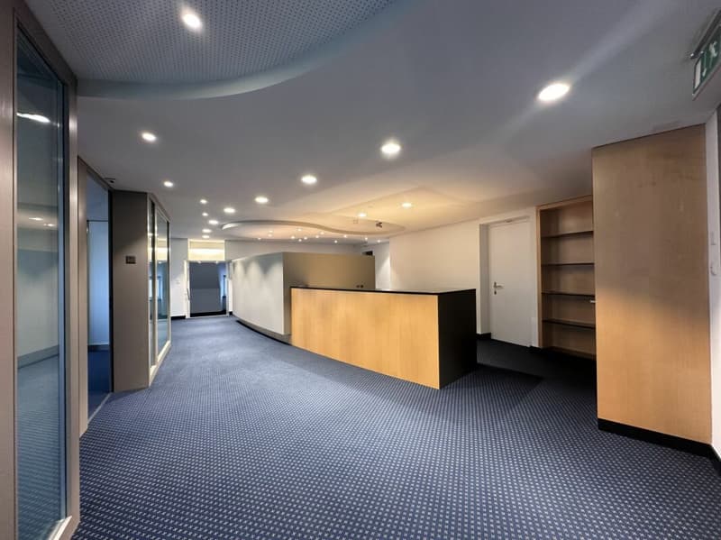 Superbe espace de bureaux rénové au Fronwagplatz (5)
