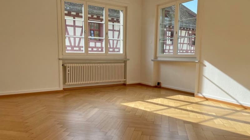 4-room apartment on the outskirts of the old town near the Rhine (ground floor left) (3)