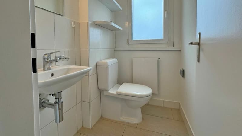 4.5 Zimmerwohnung (3. OG rechts) im schönen Herblingen (11)