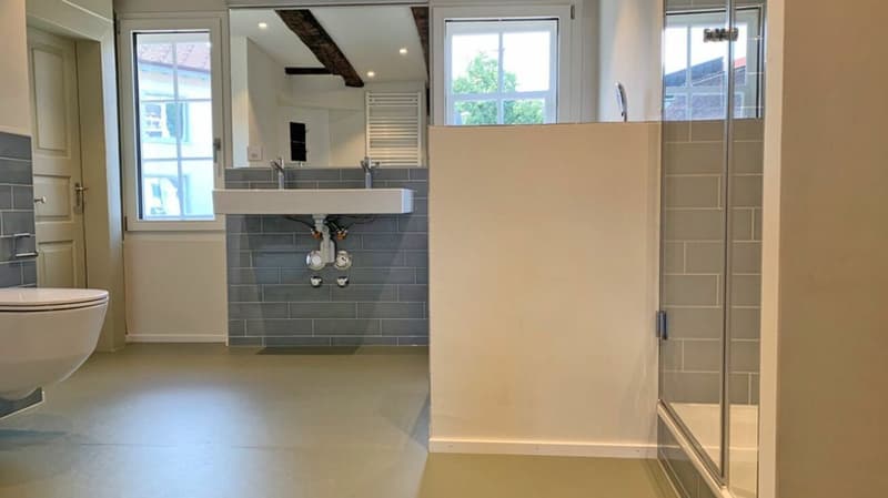 Exklusive 4-Zimmerwohnung im schönen Herblingen (9)