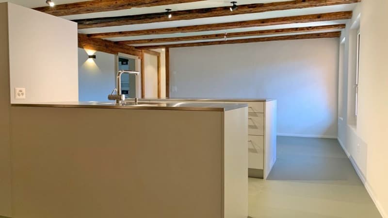 Exklusive 4-Zimmerwohnung im schönen Herblingen (4)