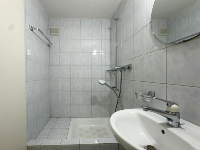 25-307 treniges und gemütliches 4.5-Zimmer Reiheneckhaus (14)