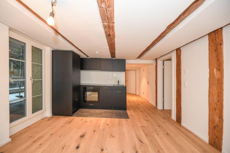 Gemütliche 2.5-Zimmer-Wohnung in Fällanden – sofort verfügbar! (2)