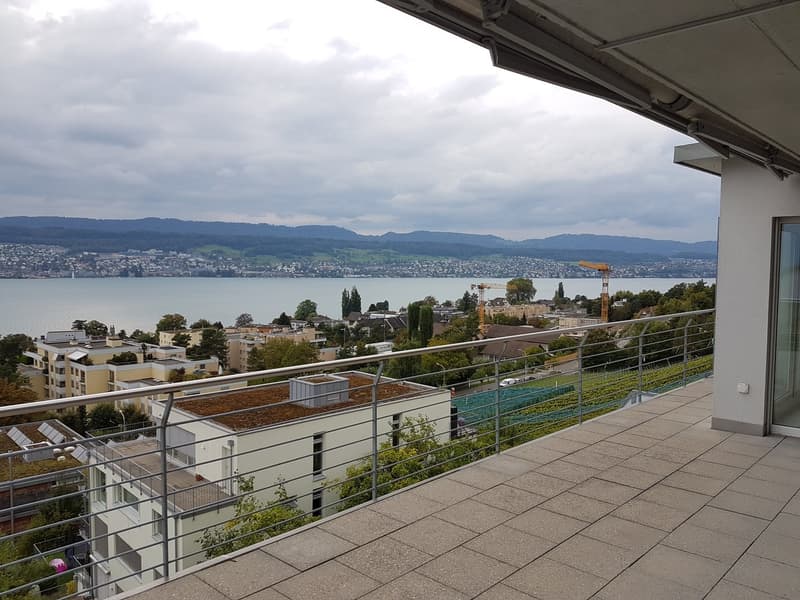 Wohnen über dem Rebberg: Exklusive 5-Zimmer-Attika-Maisonette mit Panoramaseesicht (4)