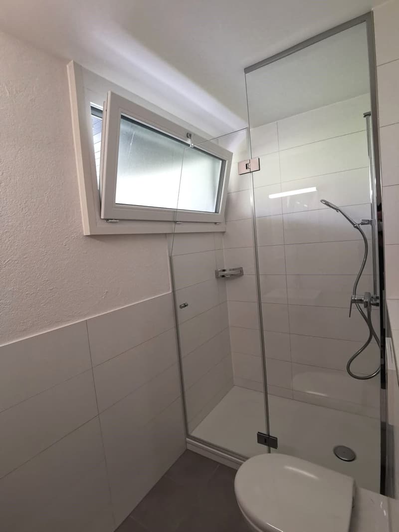 Grosszügige Wohnung an ruhiger Lage (7)