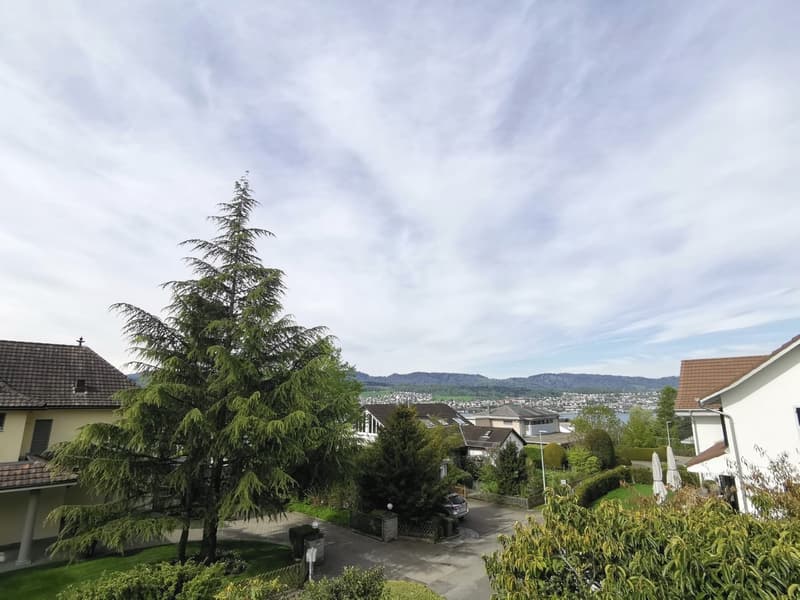Grosszügige Wohnung an ruhiger Lage (5)