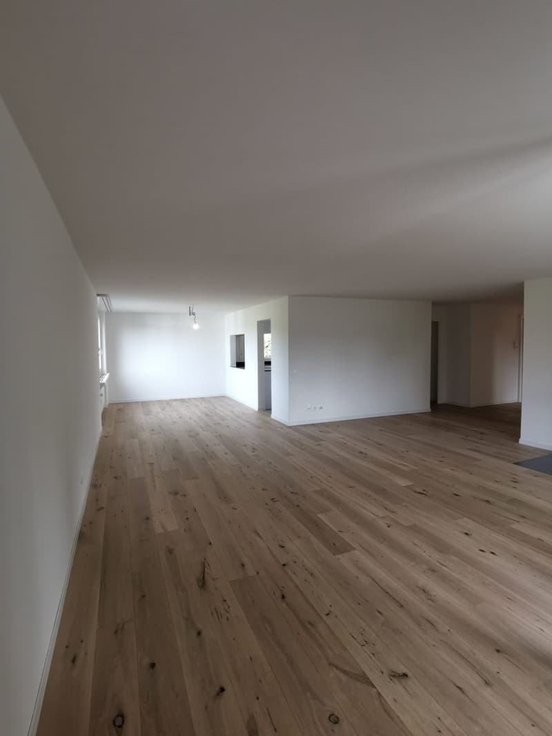 Grosszügige Wohnung an ruhiger Lage (9)