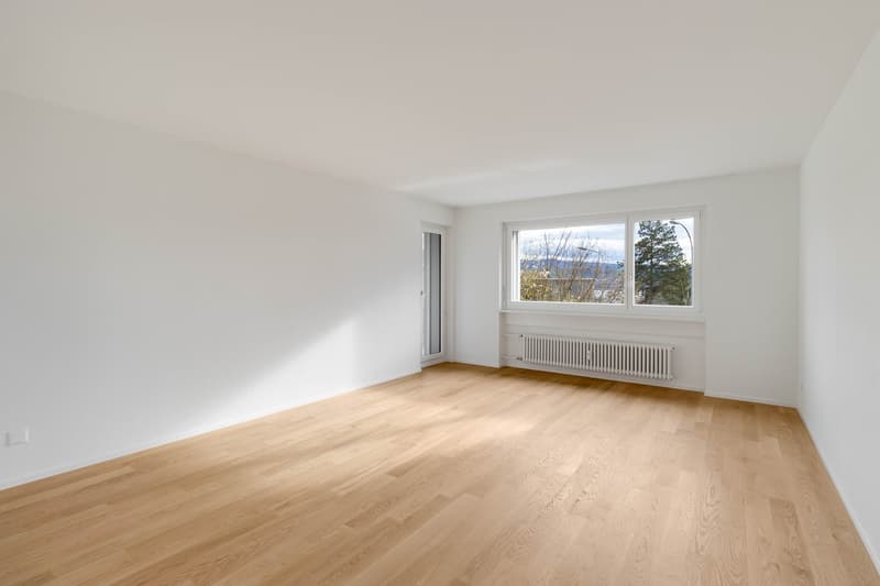 Moderne 3-Zimmer-Wohnung in sanierter Liegenschaft (8)