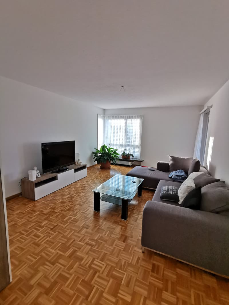 Wohnung an zentraler Lage in Uetikon am See (2)