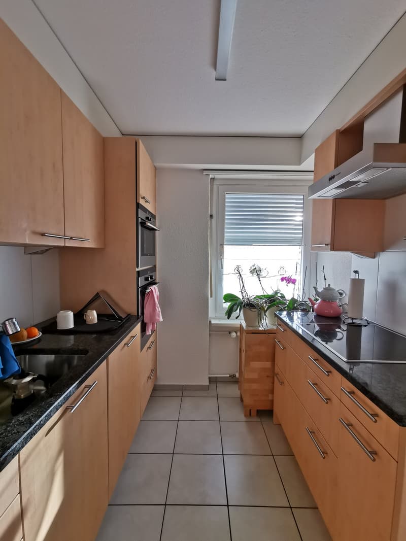 Wohnung an zentraler Lage in Uetikon am See (3)