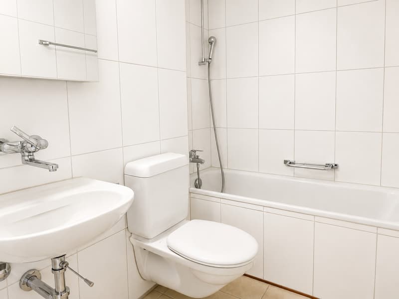 Gemütliche Wohnung im ruhigen und schönen Kilchberg! (7)