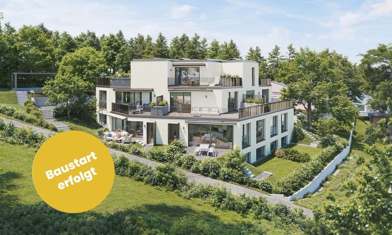 Visualisierung
