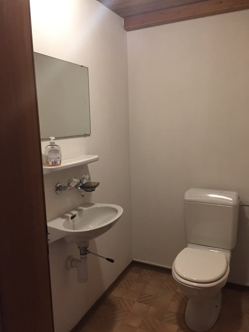 small bathroom with toilet, sink, mirror, and a soap dispenser