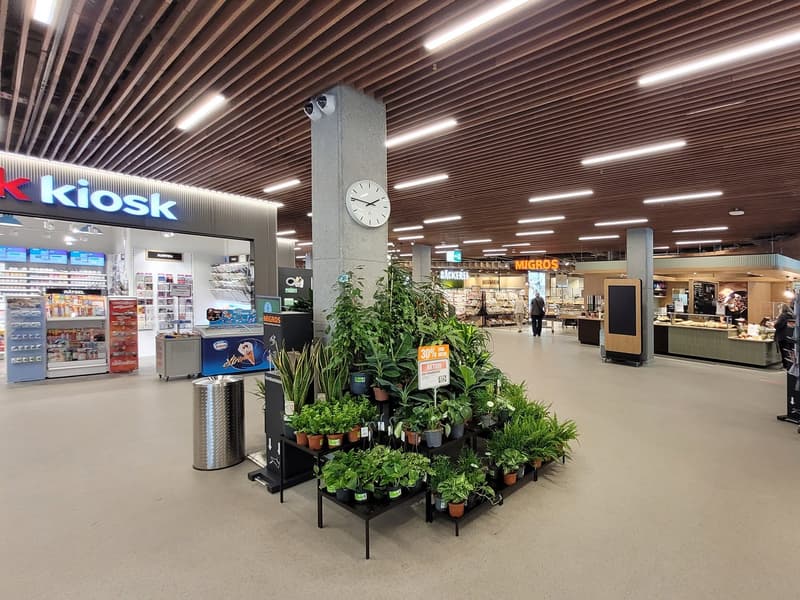 Büro oder Praxis direkt beim Bahnhof Glarus (10)