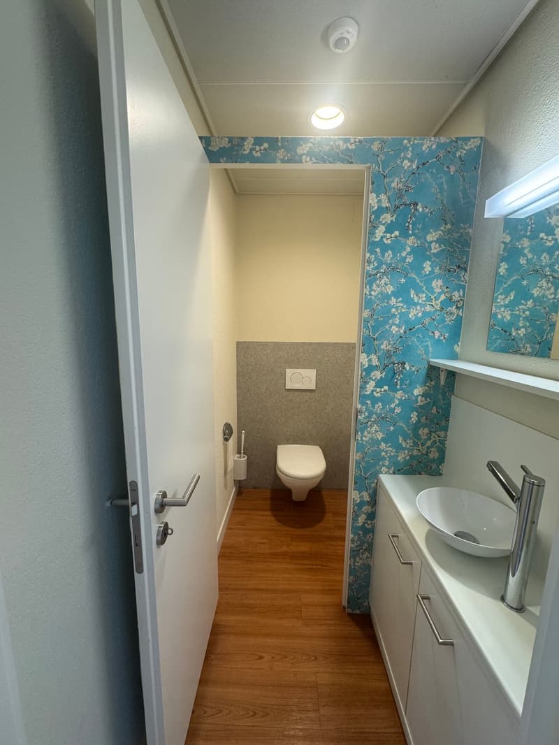 small bathroom with a toilet, sink, and wooden floor