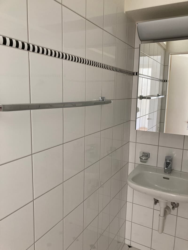 Gemütliche 2.5 Zimmerwohnung in Küsnacht Zürich-Goldküste (5)