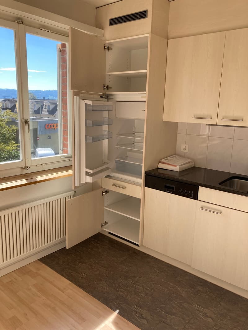 Gemütliche 2.5 Zimmerwohnung in Küsnacht Zürich-Goldküste (9)
