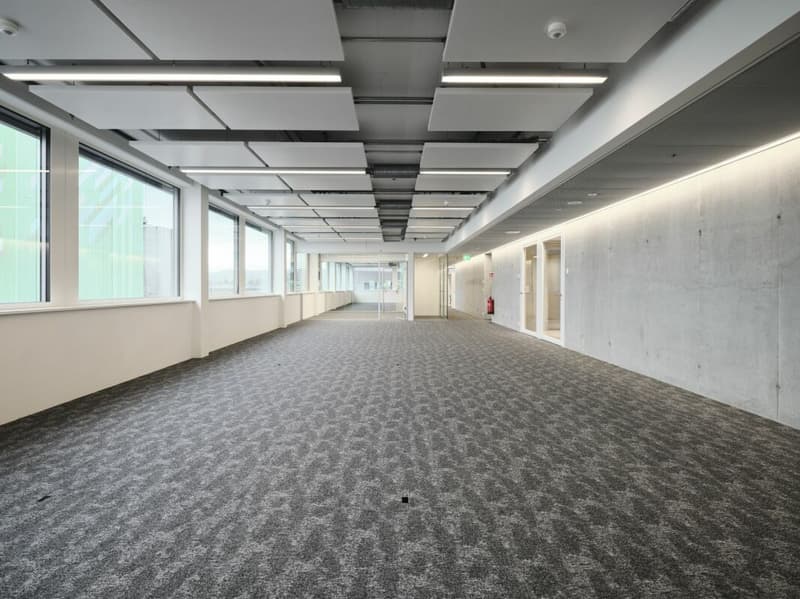 Fully developed office space in the Life Science Cluster Stücki Park (4)