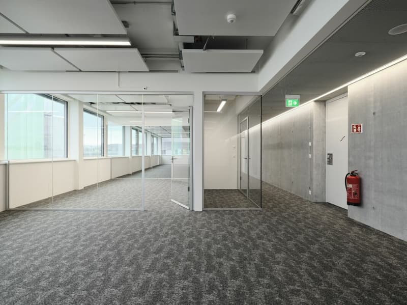 Fully developed office space in the Life Science Cluster Stücki Park (6)